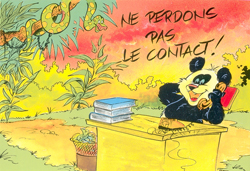 panda couleur